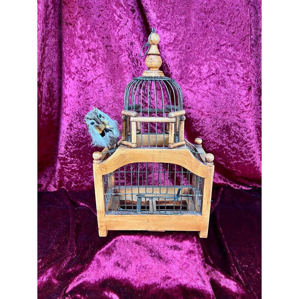 Vintage Decor Victorian Style Decorative Domed Wire Birdcage – Googly-Eyed Bird